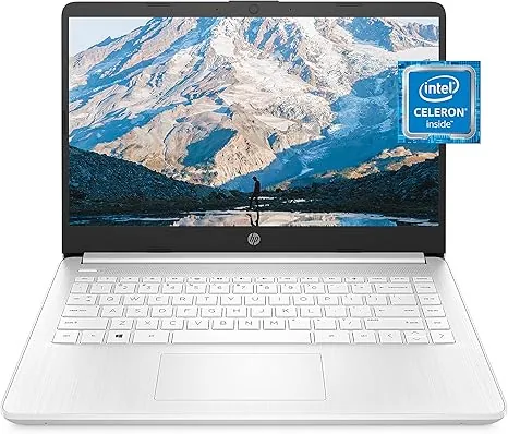 Laptops & Computers